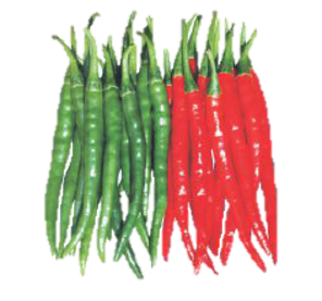 Chillies Gajalakshmi F1 Hybrid