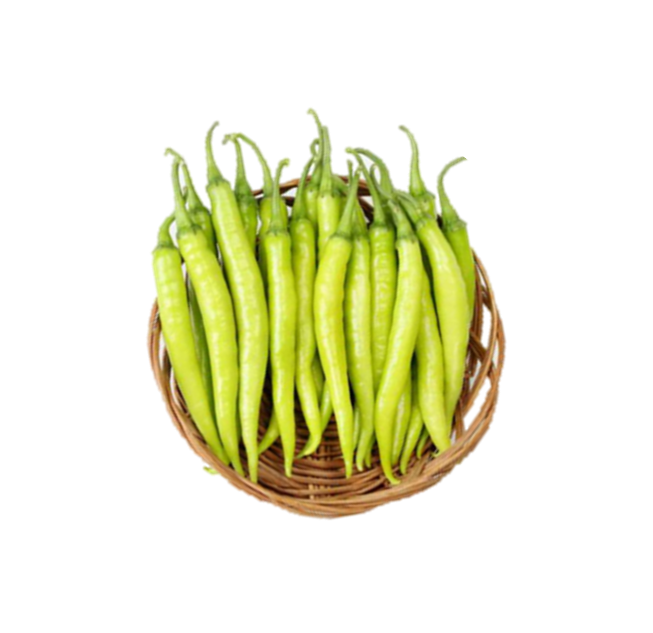 Chillies Lashkar F1 Hybrid