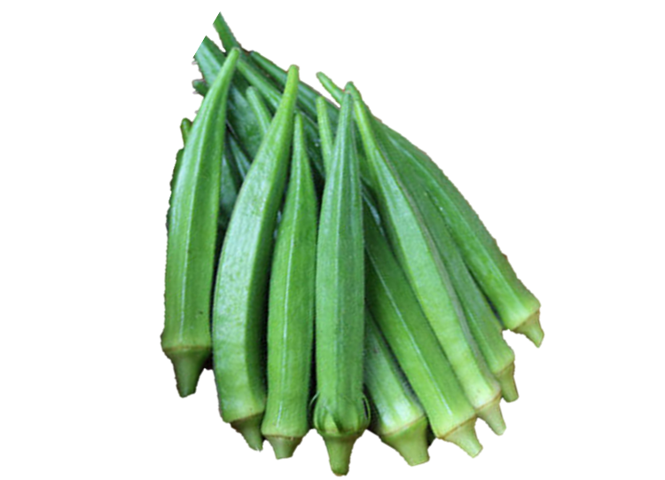 Okra Bhumika F1 Hybrid