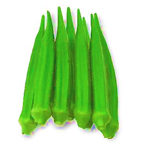 Okra Subhadra F1 Hybrid