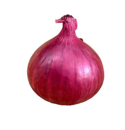 Onion Dhanwan