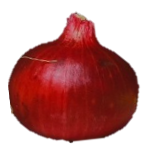 Onion Early Plus