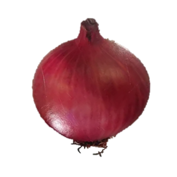 Onion Gulabi Phursungi Gold Plus