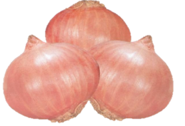 Onion Light Red