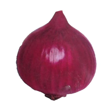 Onion Super Red