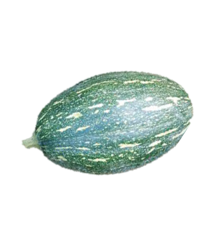 Pumpkin Sumo F1 Hybrid
