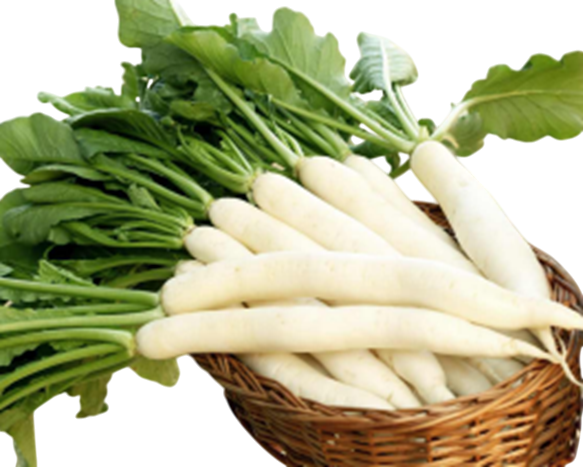 Radish Snow White